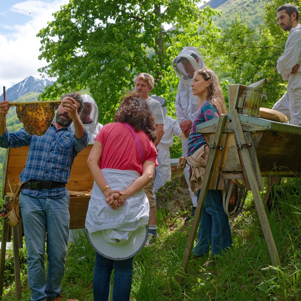 F851DC98-32A1-4EB7-AE70-55036C411DF7_1_201_a