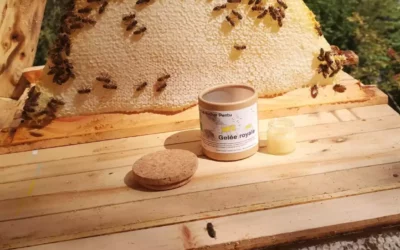 Les vertus de la gelée royale Bio, production artisanale dans les Pyrénées