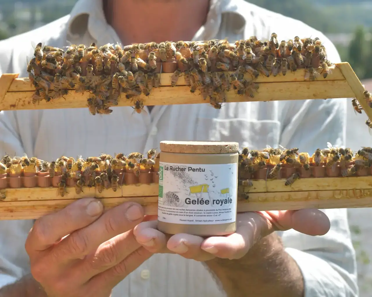 La gelée royale du Rucher Pentu
