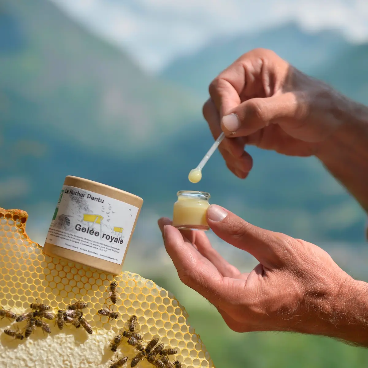 gelee_royale bio des pyrénées background miel