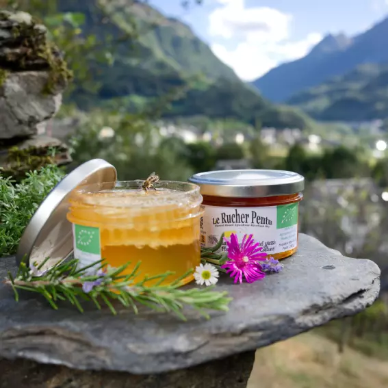 Miel en rayon et pressé présentation