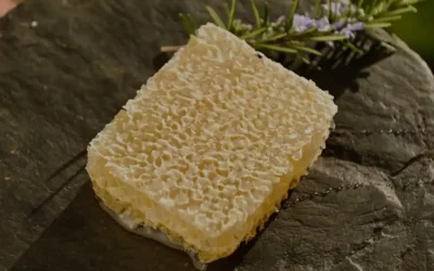 Les particularités et propriétés essentielles du miel en rayon