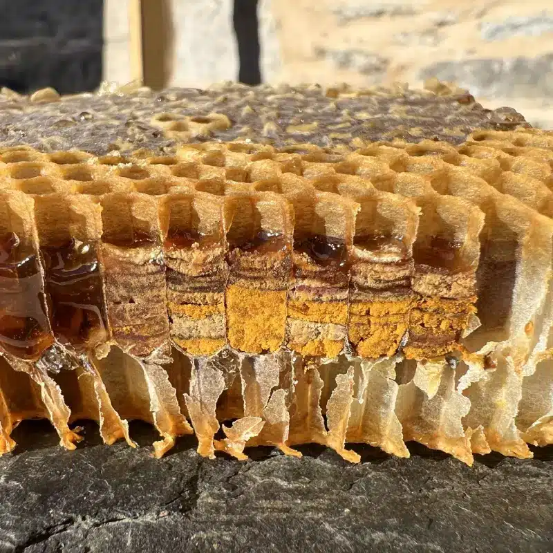 Pain d’abeilles -1 – Le Rucher Pentu Pain d'abeilles -1 - Le Rucher Pentu