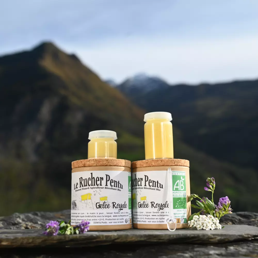 Gelée royale bio du Rucher Pentu présentée en pots devant les montagnes des Pyrénées