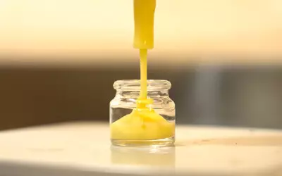 Gelée royale bio : fraîche ou lyophilisée, comment bien choisir ?