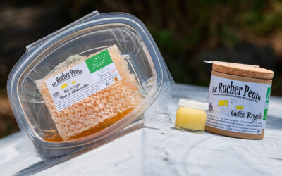 Gelée Royale versus Miel : connaissez-vous les différences ?