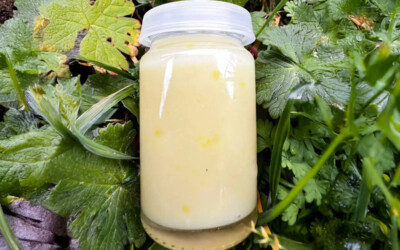 Cristaux dans la gelée royale : expérience d’un apiculteur