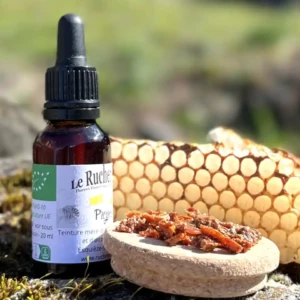 Pot de teinture mère de propolis bio avec de la propolis brute et un morceau de cire qui contient de la propolis