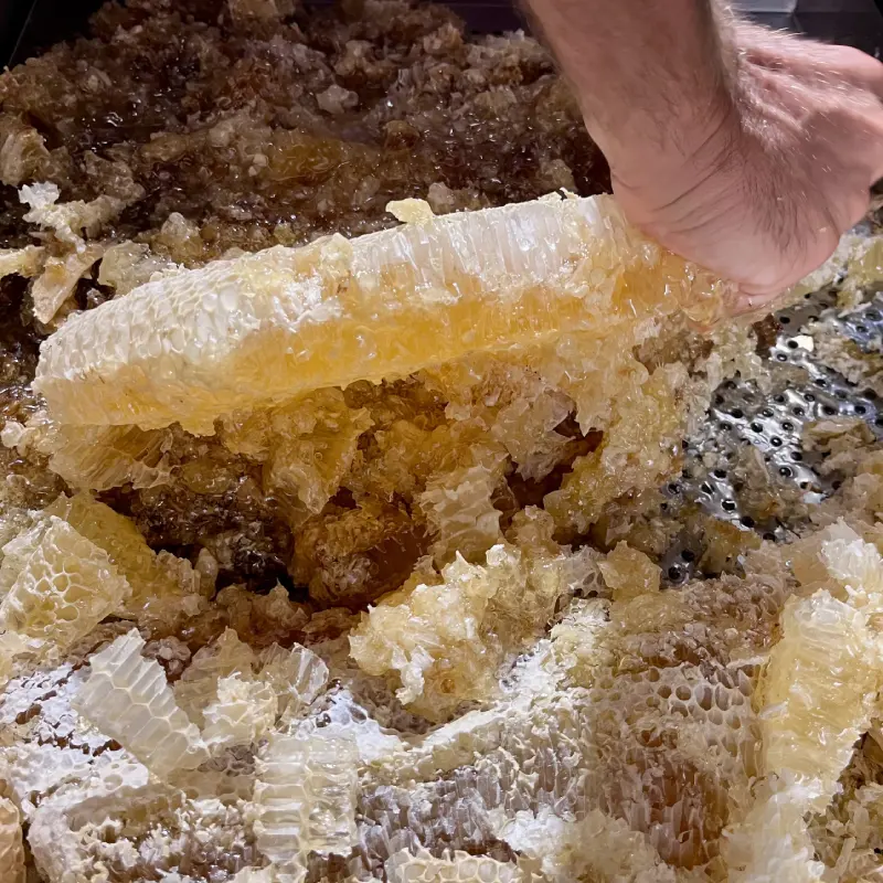 Miel presse à la main Rayons de miel pressé à la main dans le laboratoire du rucher pentu
