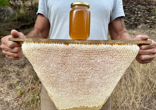 Rayon de cire naturelle issu d'une ruche kenyane en apiculture bio et pot de miel pressé.