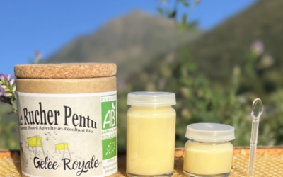 Cure de Gelée Royale Bio des Pyrénées : Prise, dosage et conservation