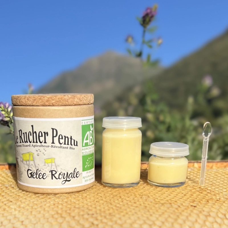 Gelée royale bio du rucher pentu 10g et 25g Pots de 10g et de 25g de gelee royale bio des Pyrenees du Rucher Pentu avec leur boîte en liège et leur cuillère