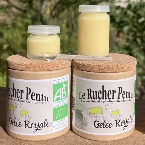 Gelée royale du rucher pentu en pot de 10g ou de 25g
