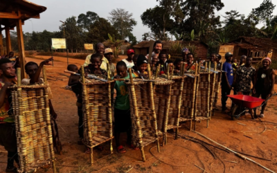 Du Rucher Pentu au Cameroun : accompagner le peuple Baka de la cueillette à l’apiculture durable
