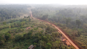 Piste de grumier traversant la forêt du Cameroun vue du ciel