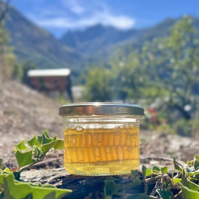 Miel en rayon avec du miel pressé. Dans un pot en verre, 200g