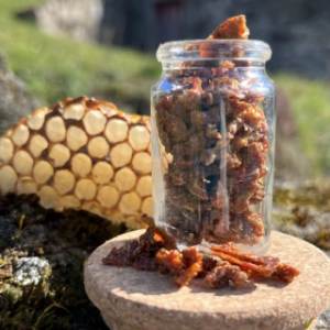 Propolis brute dans son pot de 10 g.