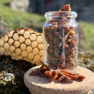 Propolis brute dans son pot de 10 g.